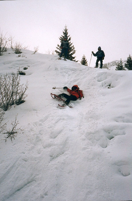 chute Virginie