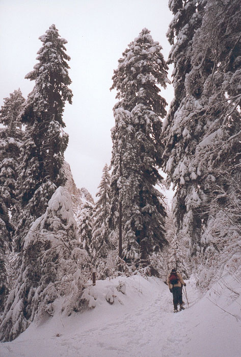 montee au col (2)