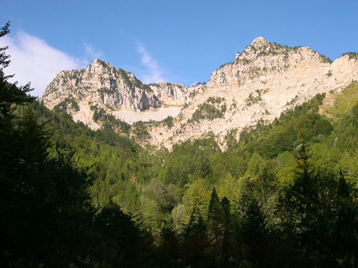 DSCN0798