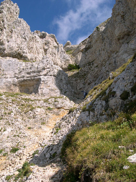DSCN0841