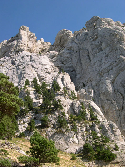 DSCN0850