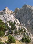 DSCN0850