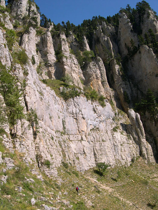 DSCN0878