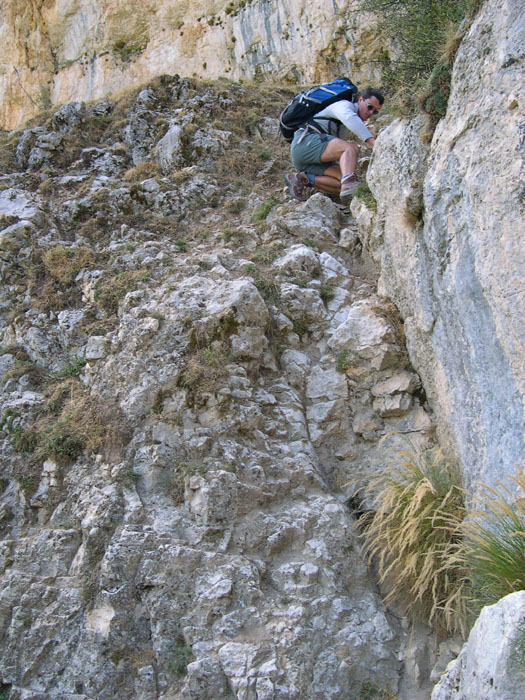 DSCN0896