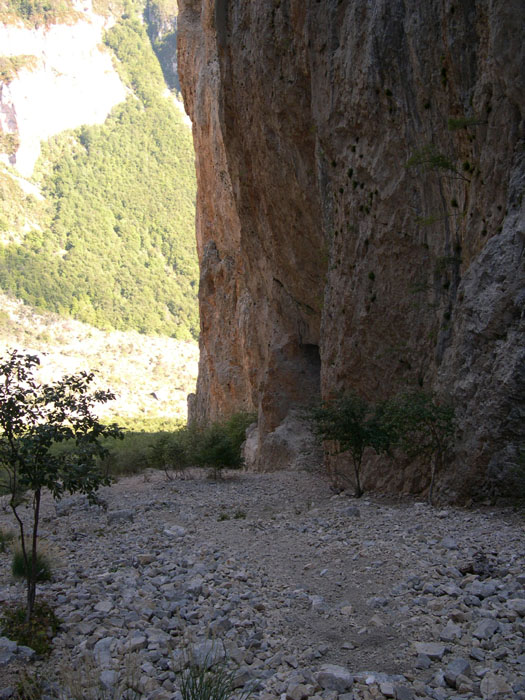 DSCN0901
