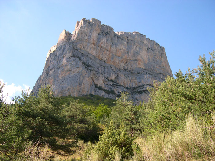 DSCN0906
