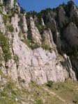 DSCN0878