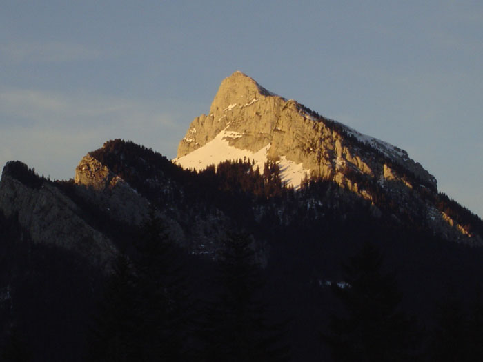 DSC03366