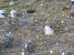 DSCN2973