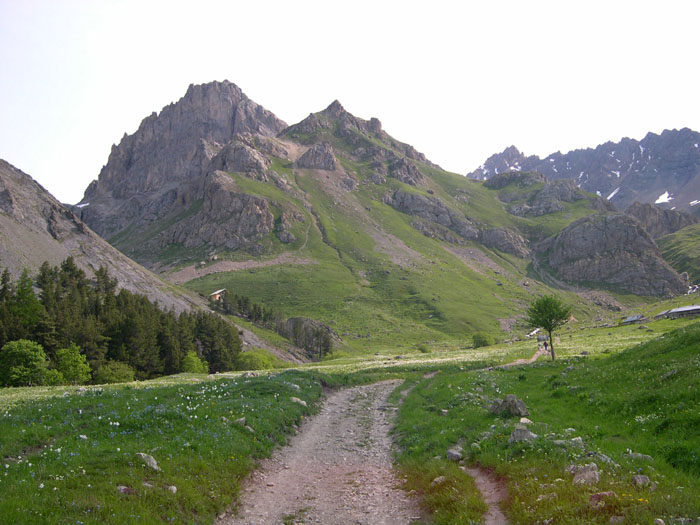DSCN3093