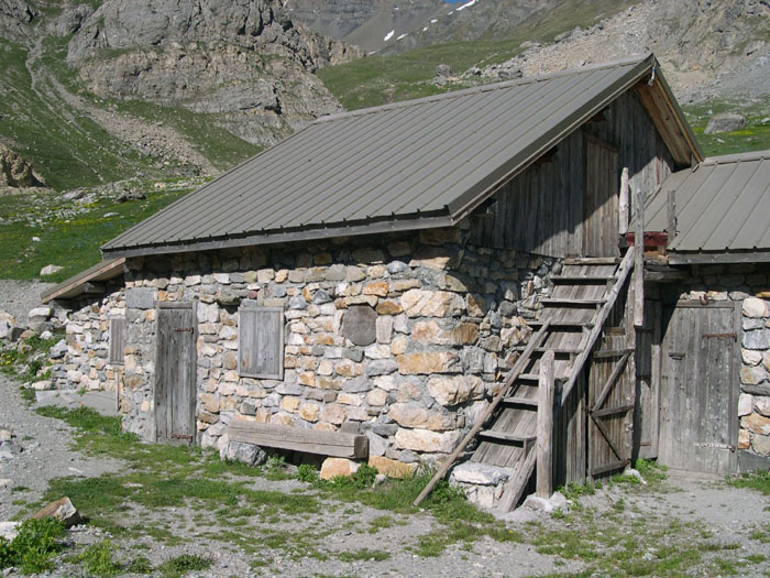 DSCN3143