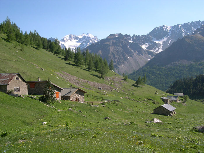 DSCN3146