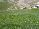 DSCN3145