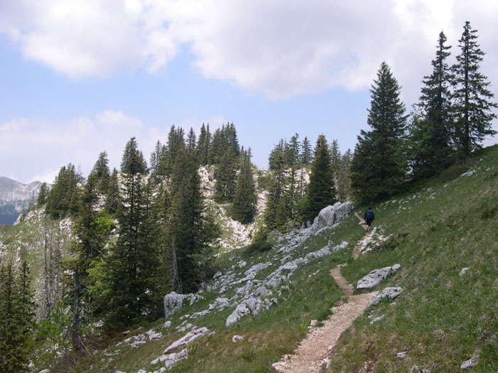 DSCN3164