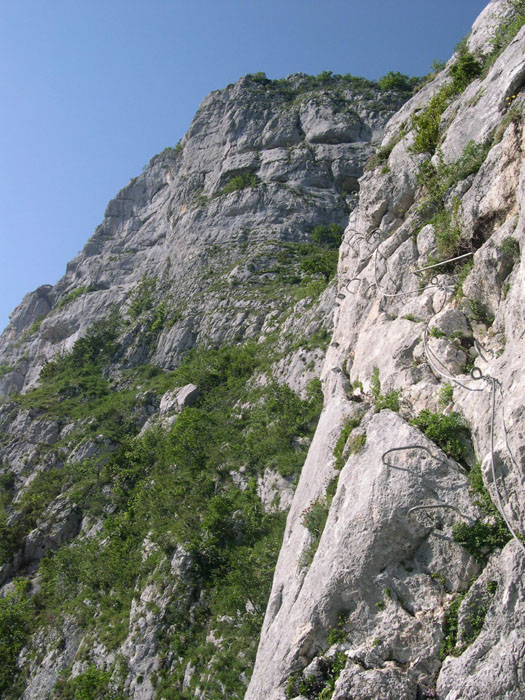 DSCN3230