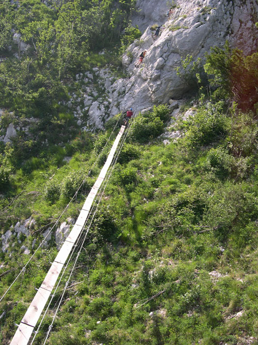 DSCN3235