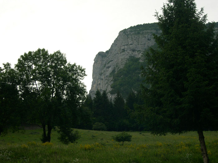 DSCN3247