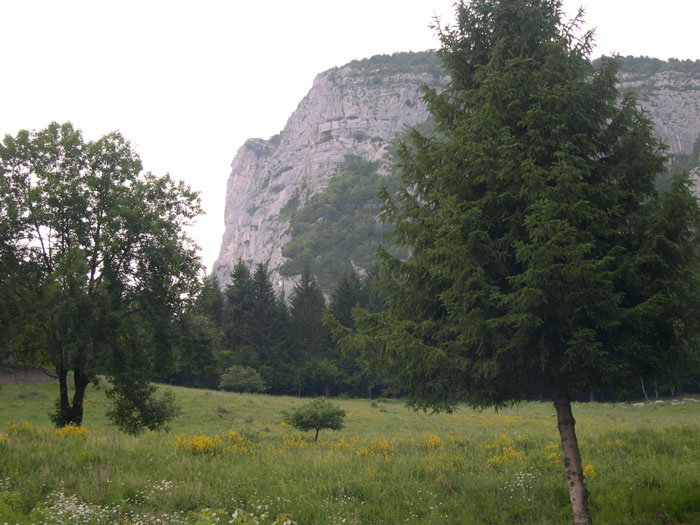 DSCN3248