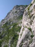DSCN3230