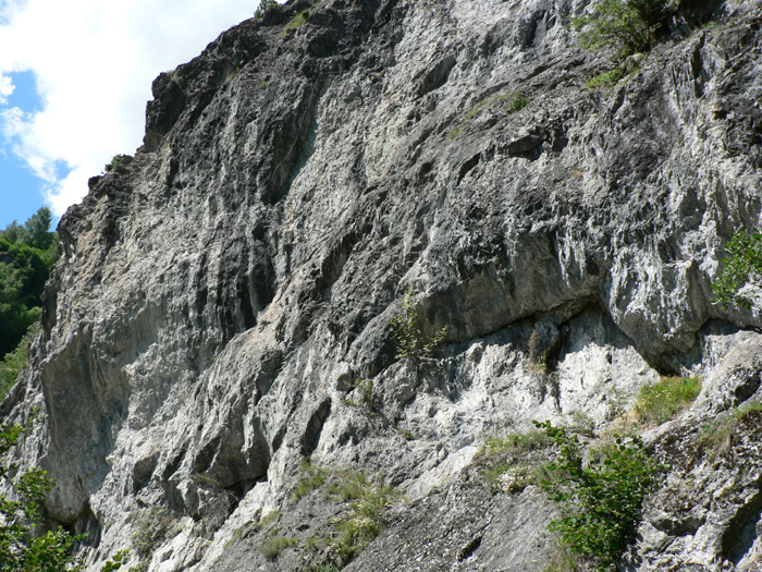 P1000469