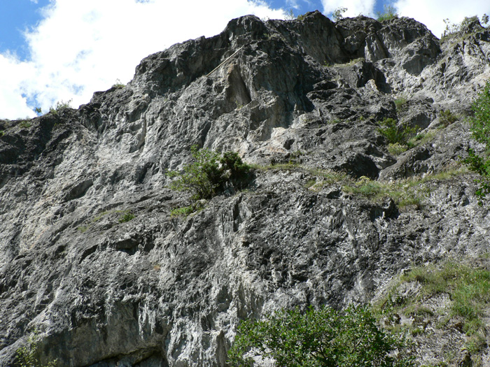 P1000470
