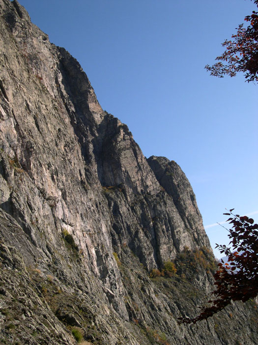 DSCN3636
