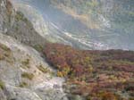 DSCN3644