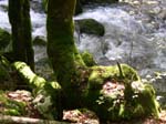 DSCN5146