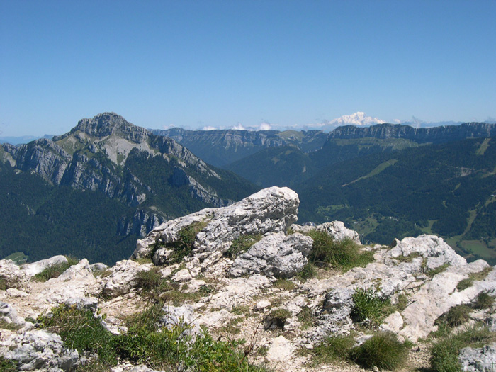DSCN5160