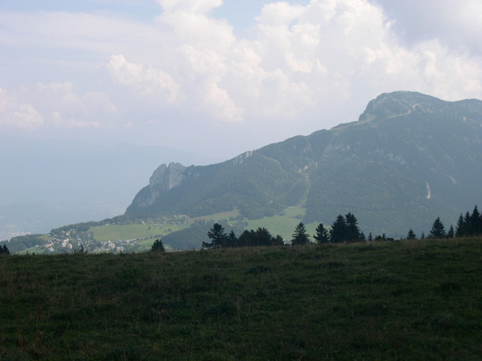 DSCN5246