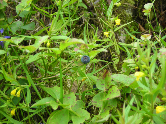 DSCN1612