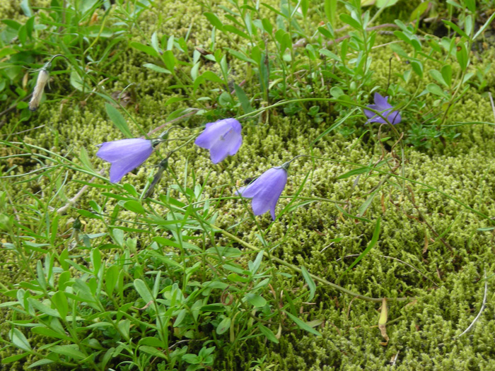 DSCN1613