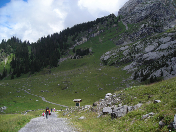 DSCN1641