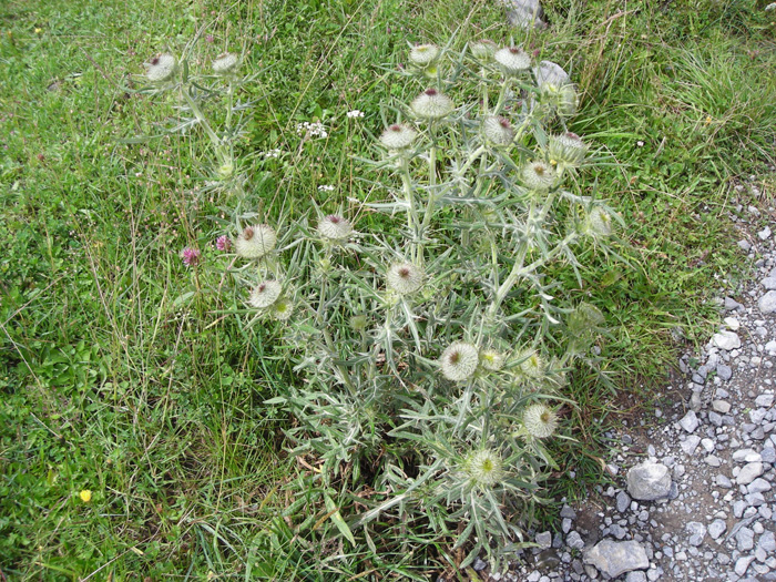 DSCN1645