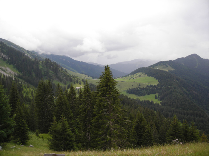 DSCN1660