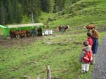 DSCN1663