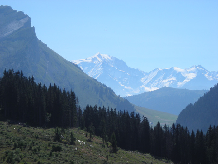 DSCN1707