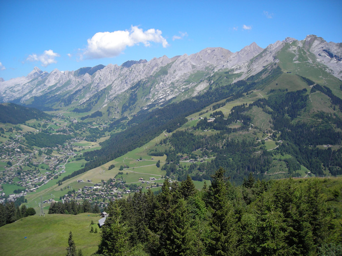 DSCN1725