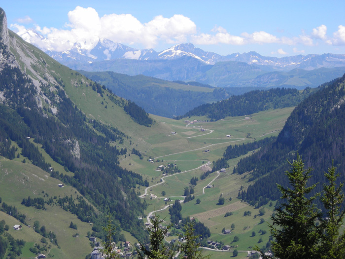 DSCN1729