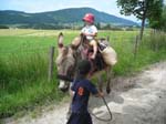 DSCN3618