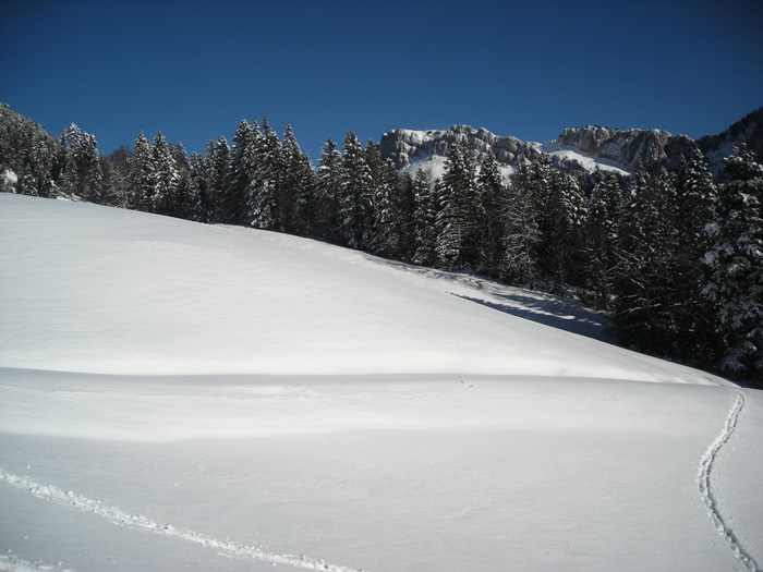 DSCN4469
