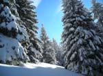 DSCN4487