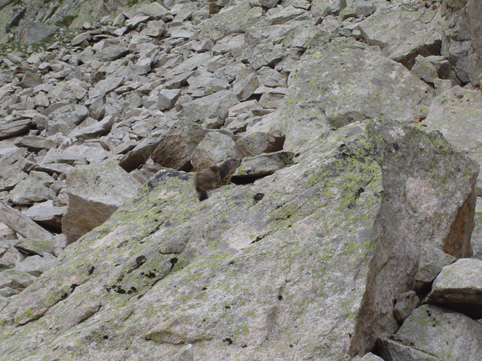 DSC09031