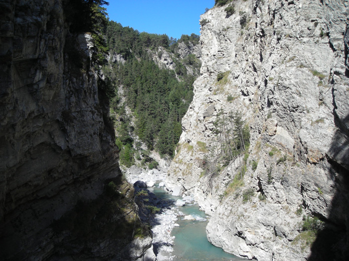 DSCN4886
